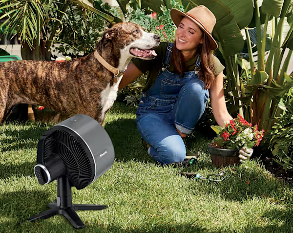 Shark 307FA150UK FlexBreeze TableMate Indoor to Outdoor Tabletop Fan - Winter Fog