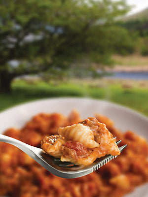 Wayfayrer Pasta Bolognese