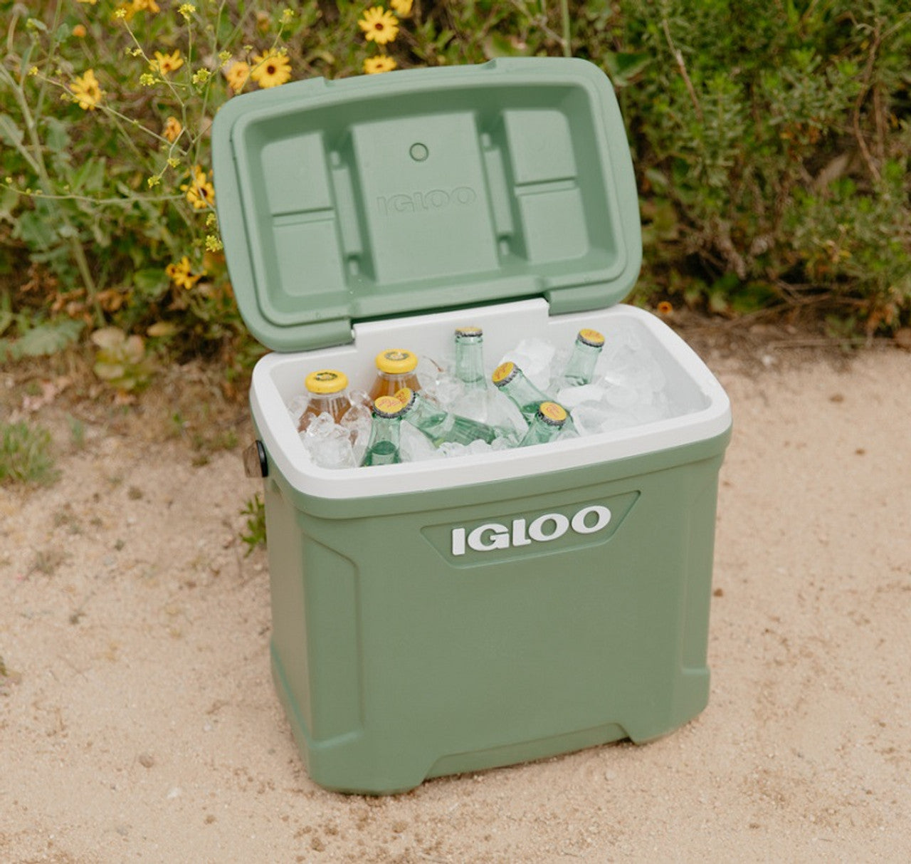 Igloo ECO Cool 30Qt