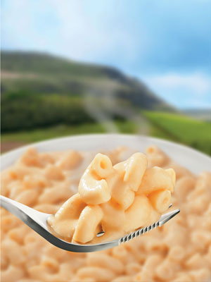 Wayfayrer Macaroni Cheese