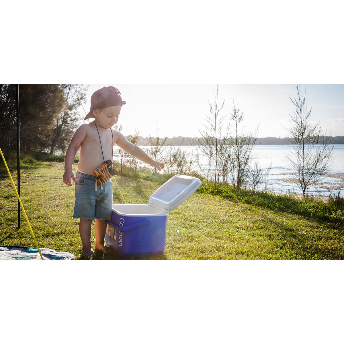 Coleman 16QT Tricolour Performance Cooler