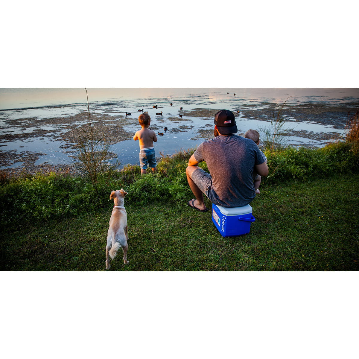 Coleman 16QT Tricolour Performance Cooler