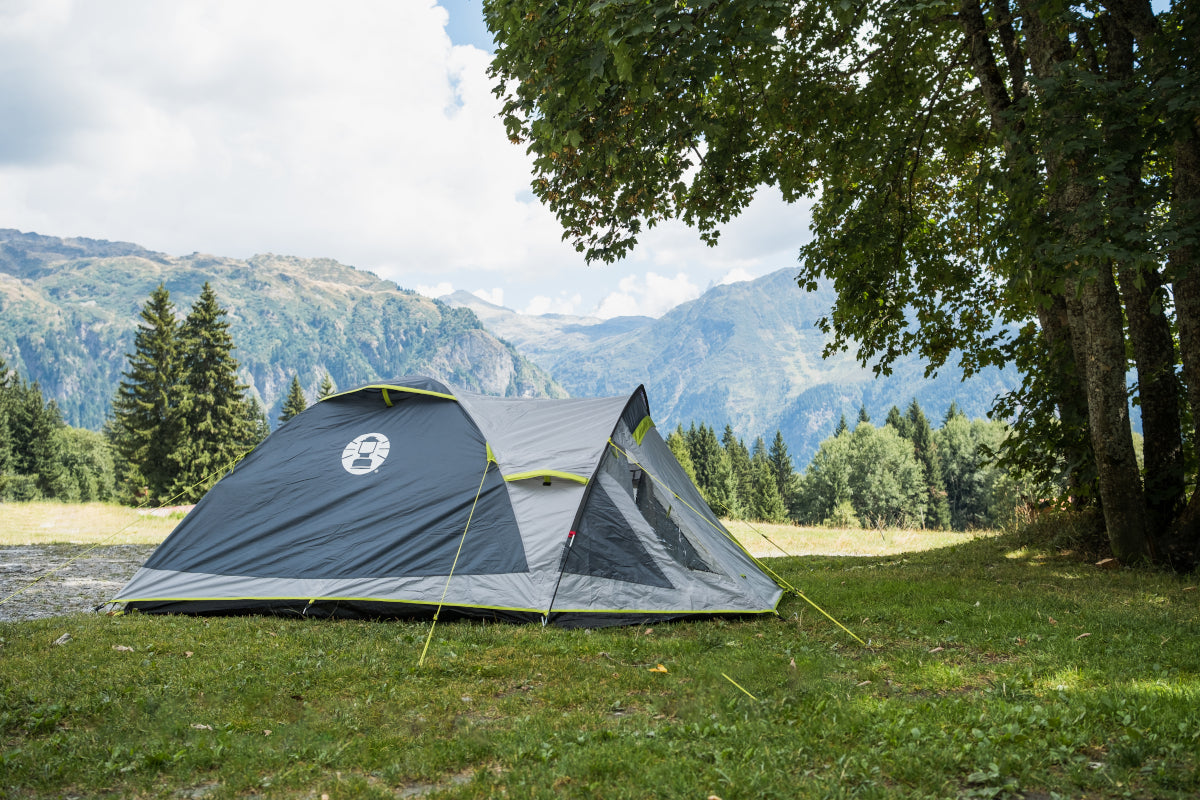 coleman darwin tent Coleman Darwin 4+