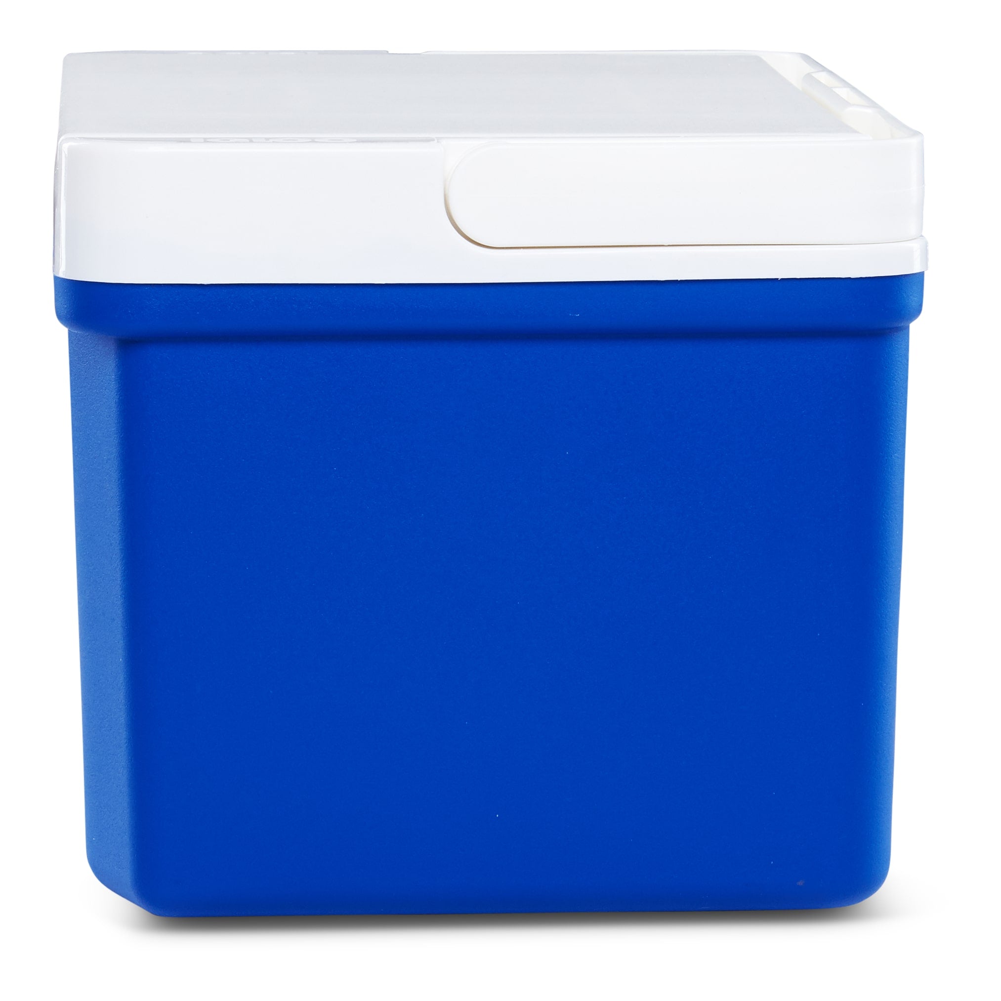 Igloo Laguna 9QT Cooler