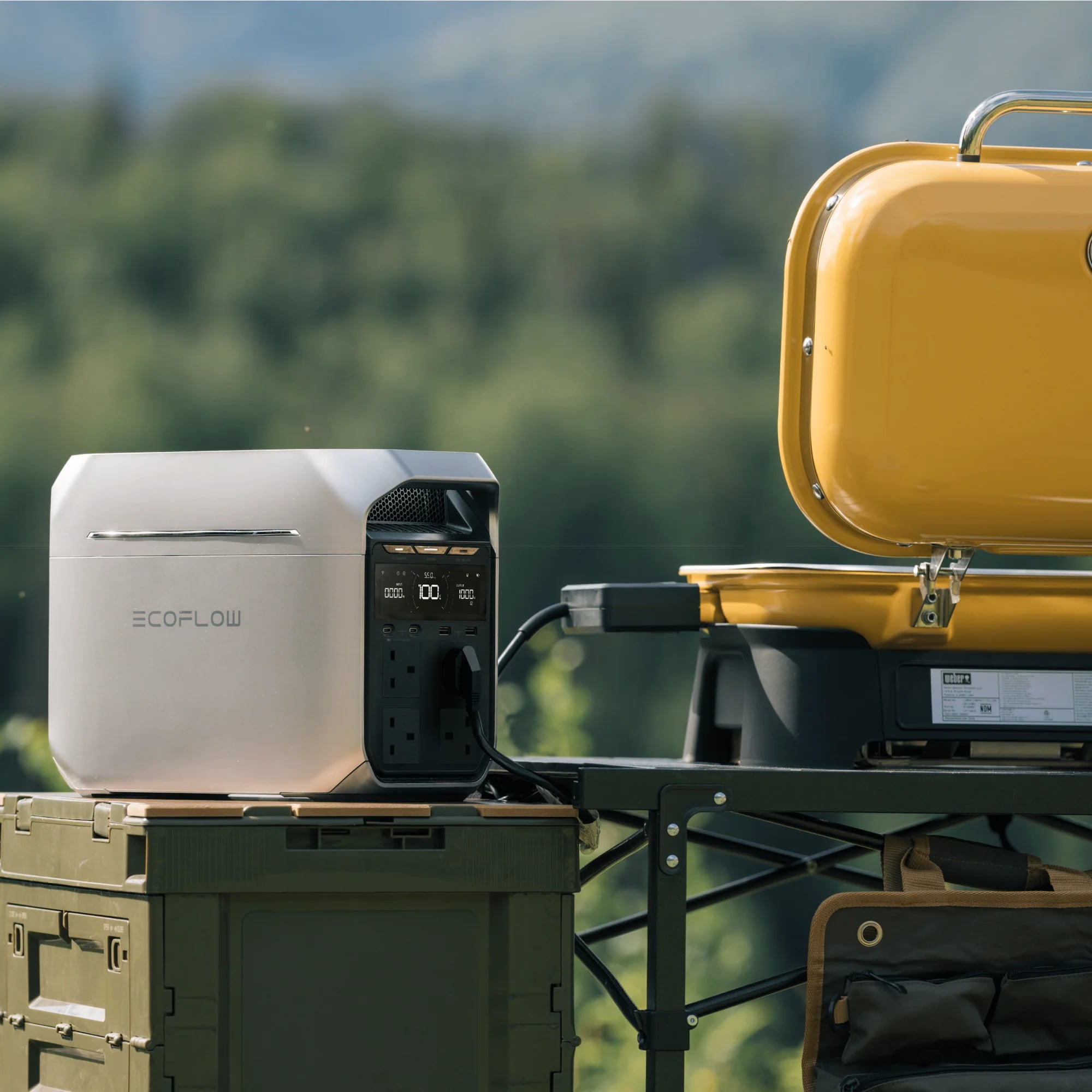 EcoFlow DELTA 3 Plus Series Portable Power Station