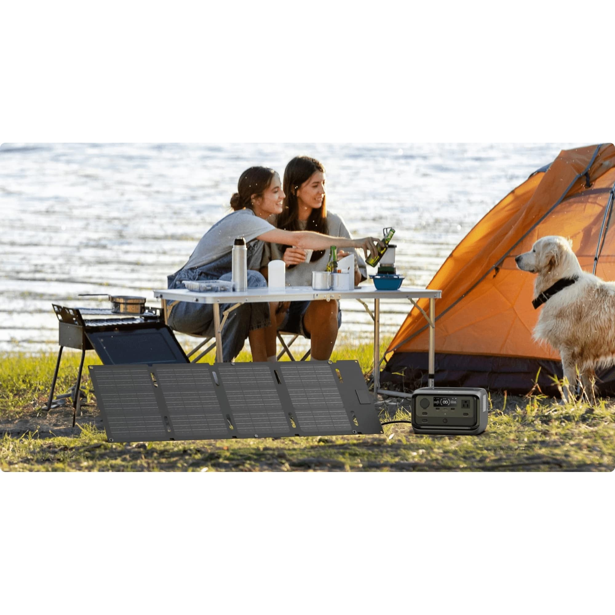 EcoFlow 60W Portable Solar Panel (Type-C)
