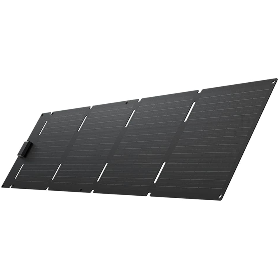 EcoFlow 60W Portable Solar Panel (Type-C)