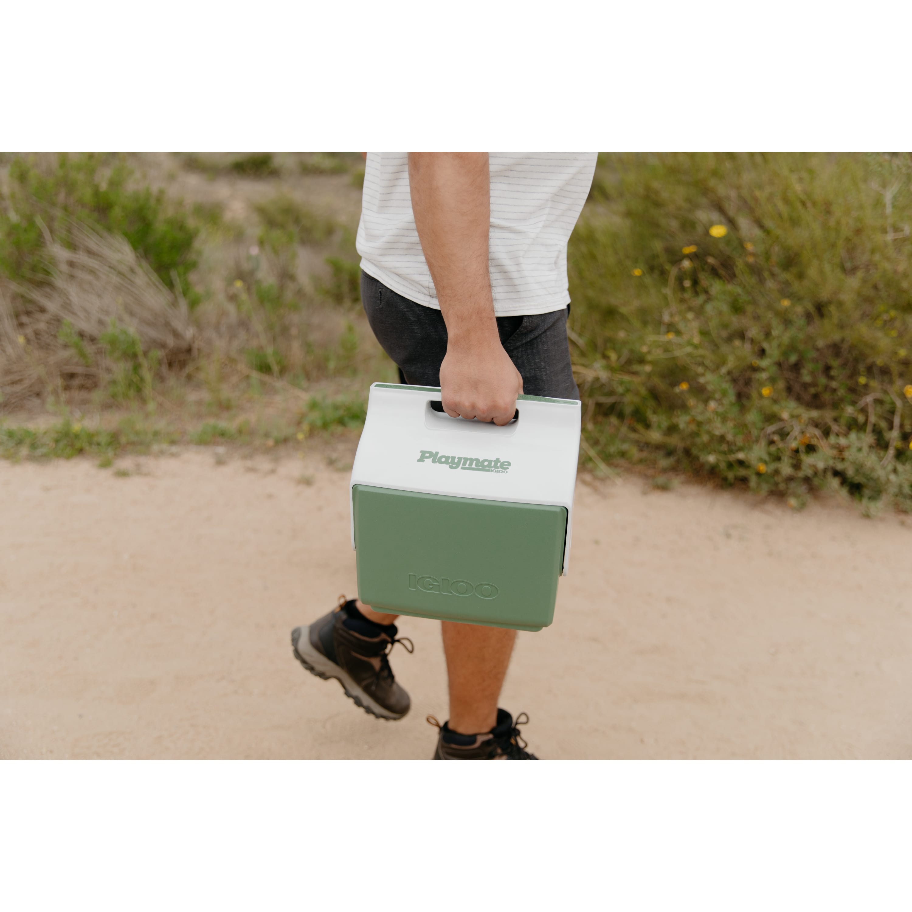 Igloo ECOCOOL Little Play Mate 7QT