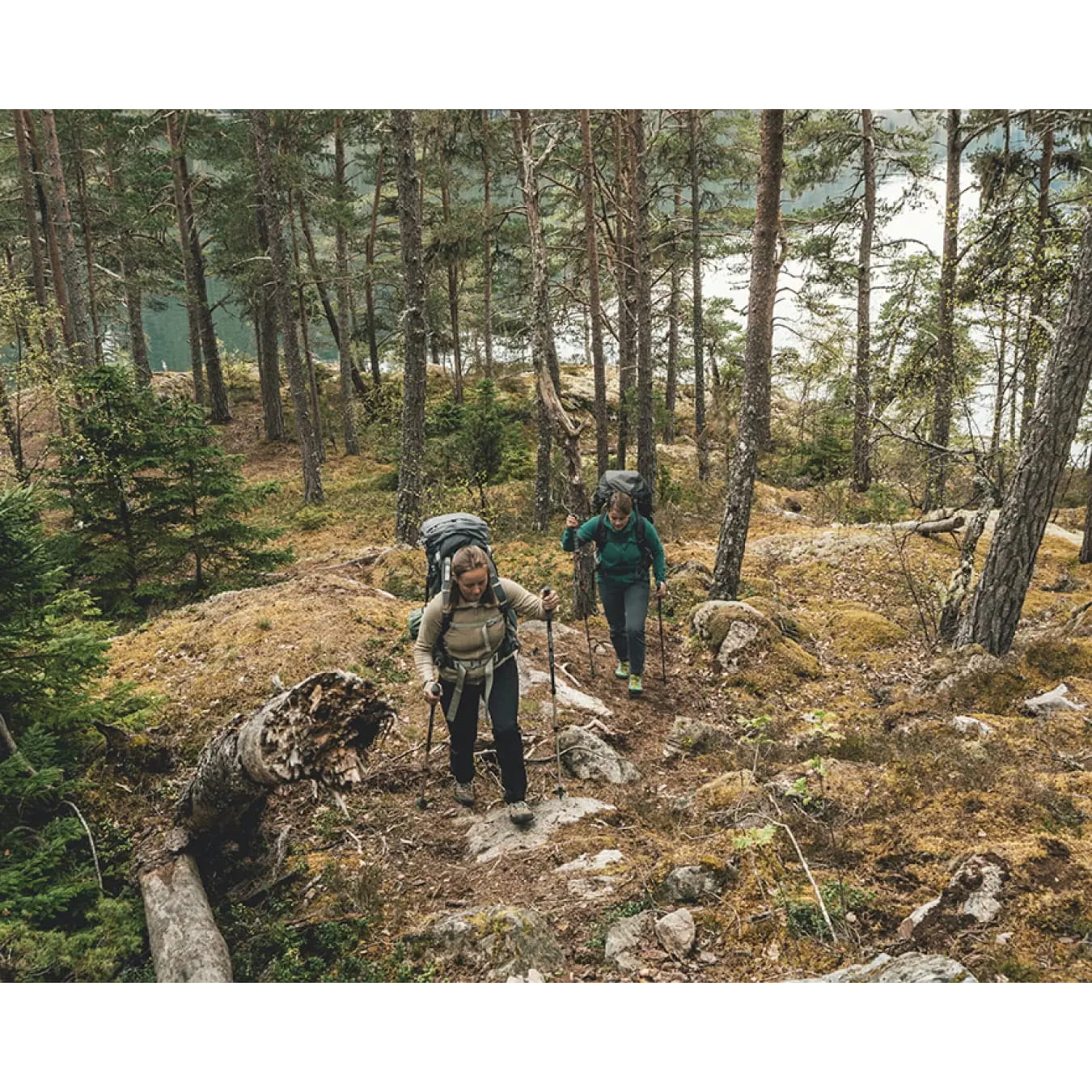 Robens Coniston T7 Walking Poles