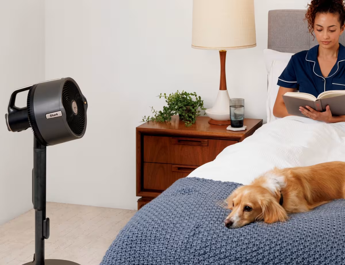 Shark 307FA300UK Shark FlexBreeze Pro Mist Indoor & Outdoor Fan & Outdoor Misting System - Dark Gray, Charcoal